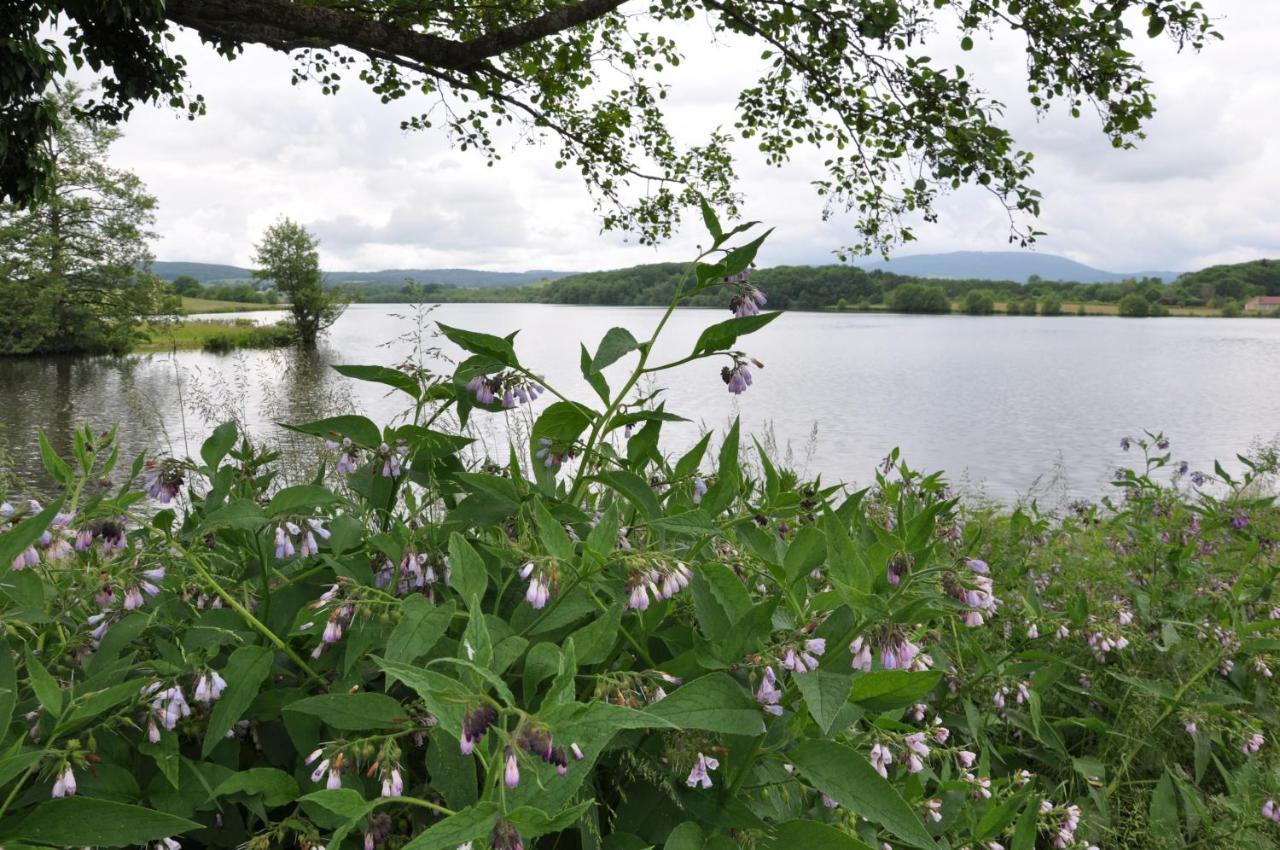 Canal Du Nivernais Gites Le Champ Radis Marigny-sur-Yonne Exterior foto